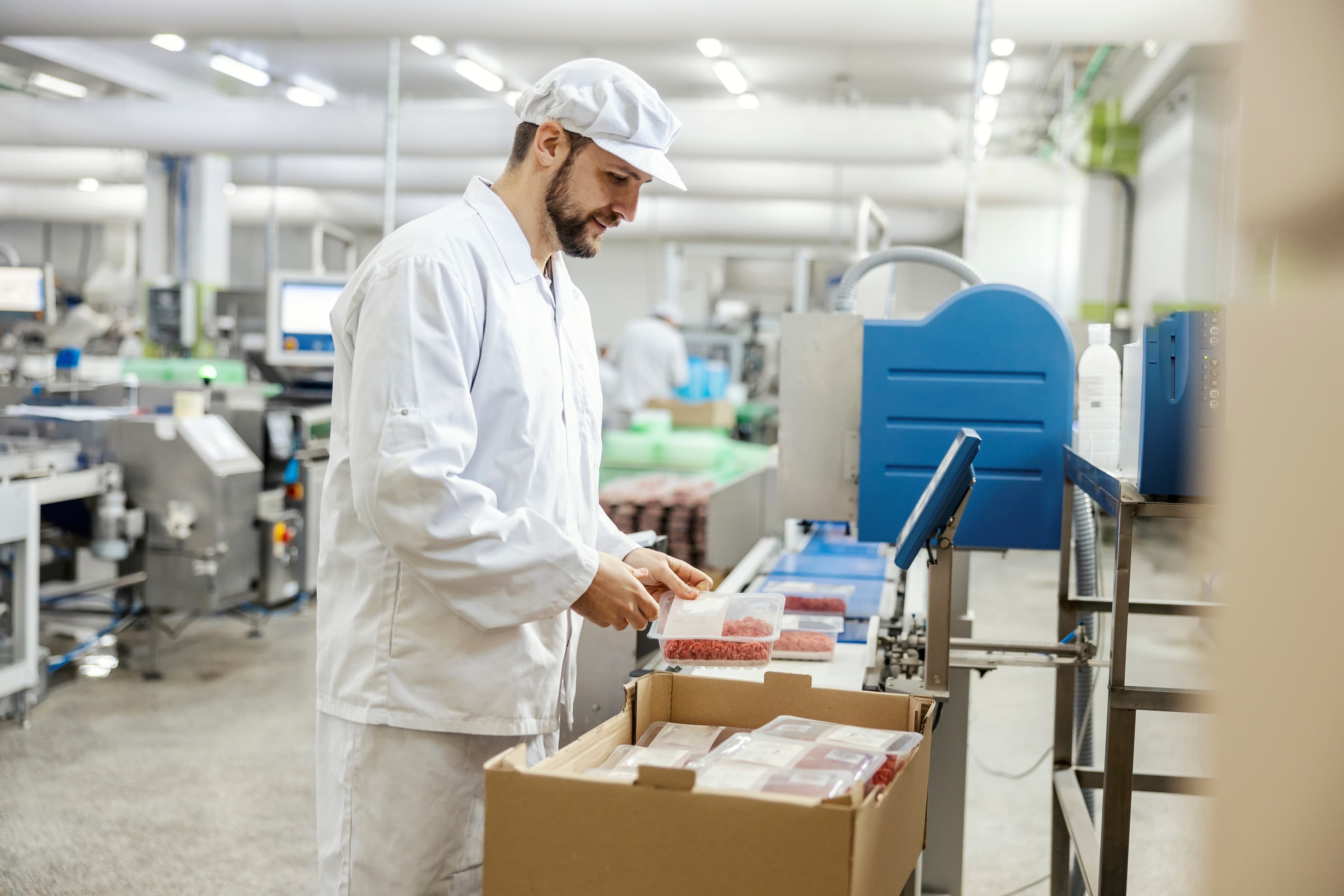 A meat industry laborer is packing minced meat into a box and getting ready to deliver it while standing next to a conveyor belt.