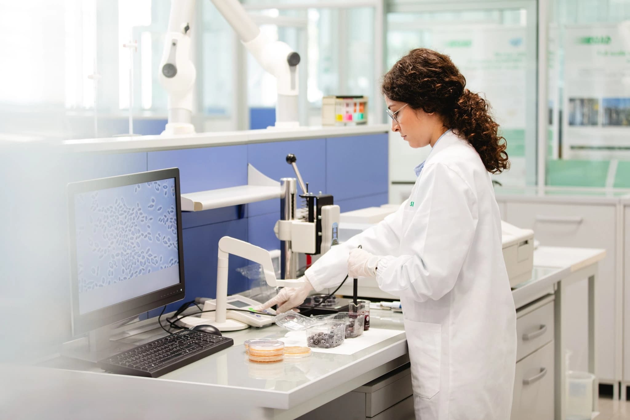 Laboratory technician analyzing samples with computer and petri dishes in a modern lab