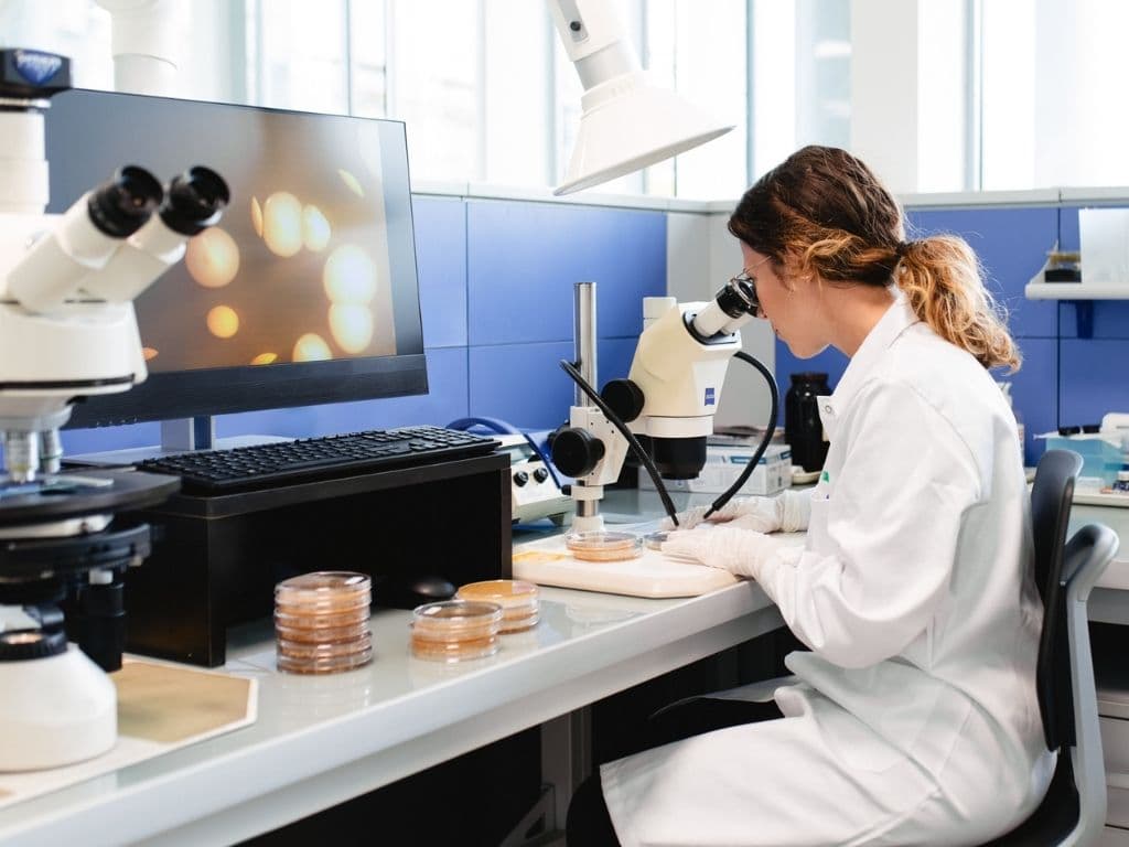 Laboratory workstation with microscopes, petri dishes, and computer for microbiology research