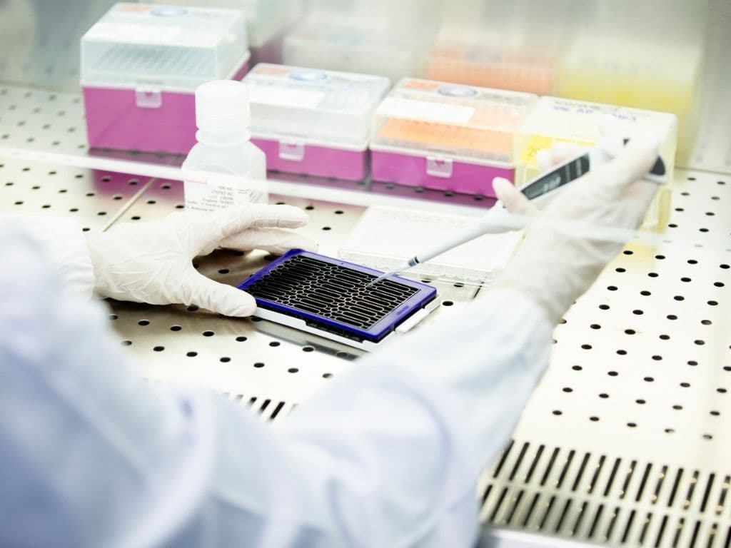 Laboratory technician using a pipette to transfer liquid samples into a microplate under sterile hood