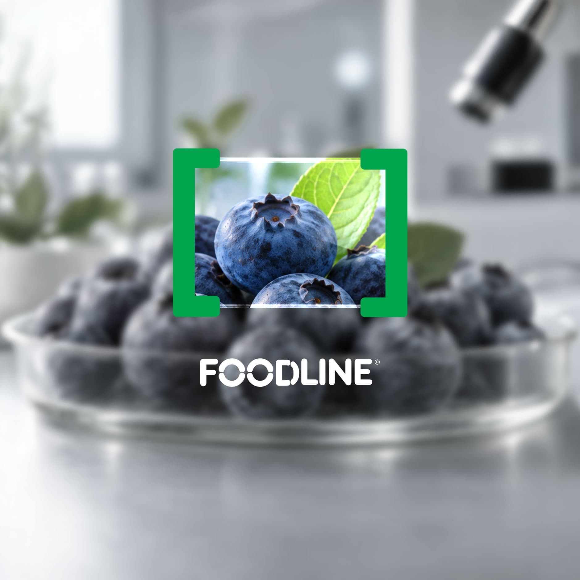 cibus_tec_foodline.jpg